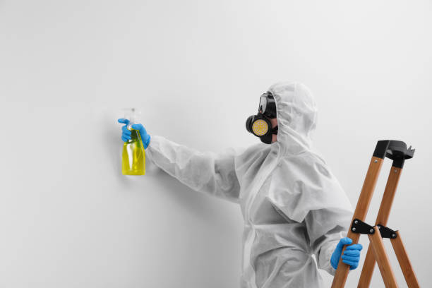 Trusted Jerome, IL Mold Removal Services Experts